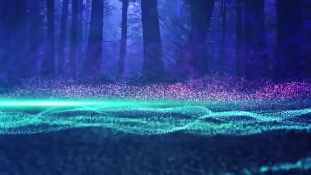 Nighttime magical forest  background - Záběry, video