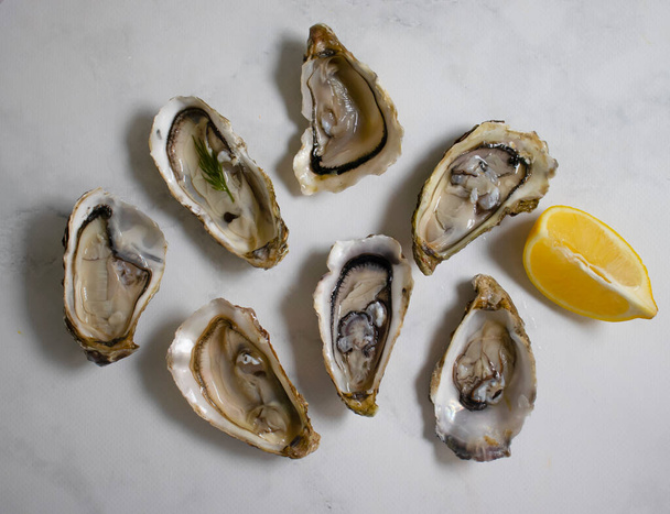 Oysters with lemon on old background - Valokuva, kuva