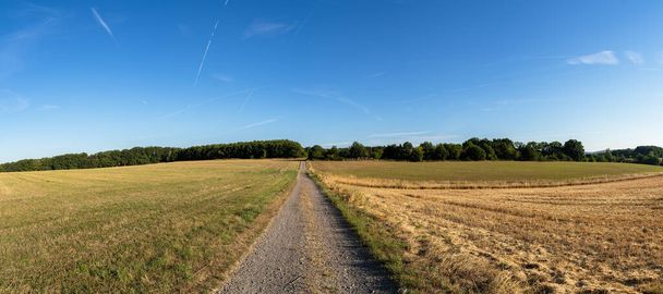 Panorama of a landscape with a gravel road between agricultural fields on a beautiful summer morning with blue sky  - Foto, Imagen