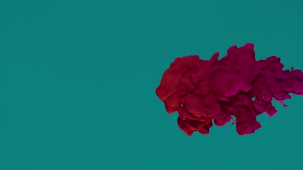 Rot und Rosa Tinte in Wasser - Filmmaterial, Video