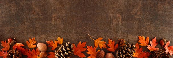 Colorful fall leaves, nuts and pine cones. Bottom border over a rustic dark banner background. Top view with copy space. - Фото, зображення