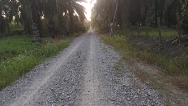 footage of the forward motion movement in the rural countryside road pathway. - Video, Çekim