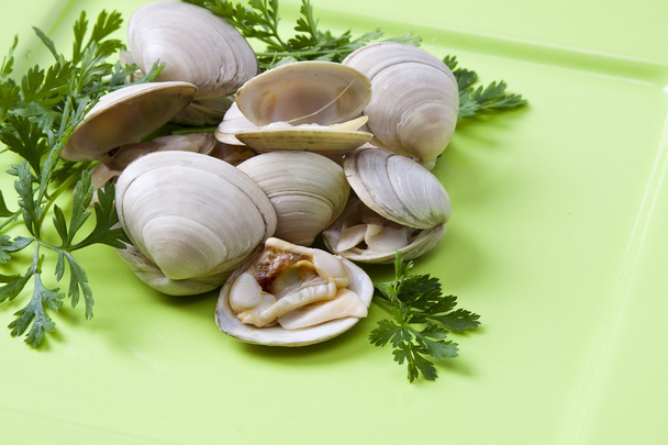 Морепродукты, моллюски
 - Фото, изображение