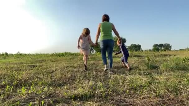 Rear view of family with two children walking at field sunset. Mother with little girl and boy strolling at nature. Woman spending leisure with kids outdoors. Happiness in simple living - Séquence, vidéo