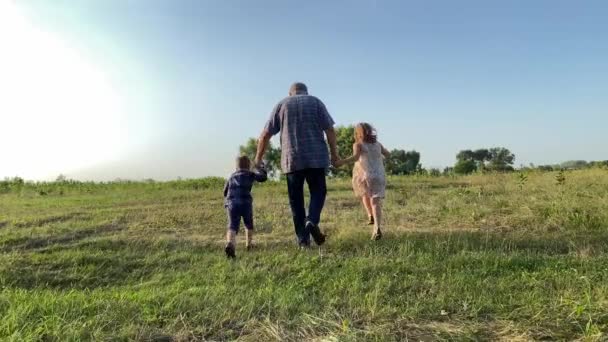 Rear view of family with two children walking at field sunset. Father with little girl and boy strolling at nature. Grandpa spending leisure with kids outdoors. Happiness in simple living - Video, Çekim