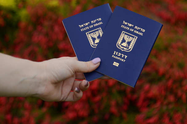 Israeli passport Darkon. A woman's hand is holding two Israeli biometric passports. Concept: travel, citizenship, emigration. Beautiful background, green grass and yellow flowers. Translation: Darkon - Photo, image