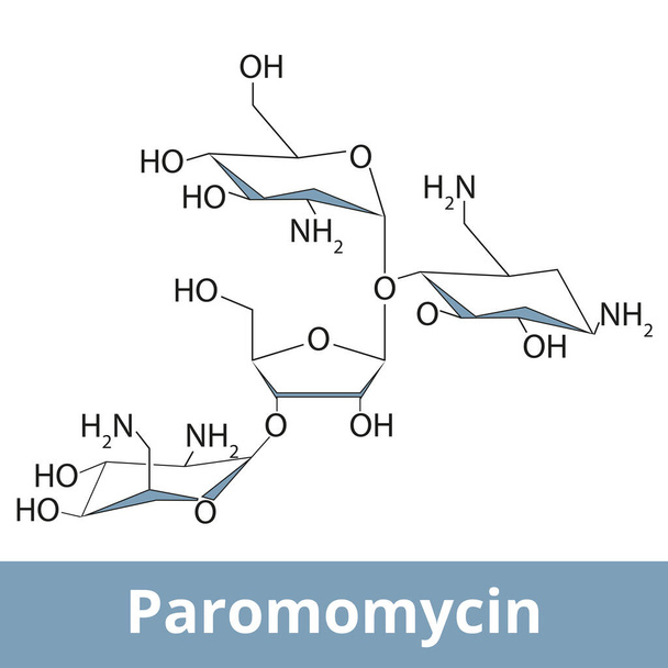 Paromomycin.An antimicrobial used to treat parasitic infections including amebiasis, giardiasis, leishmaniasis, and tapeworm infection. Chemical structure. - Wektor, obraz