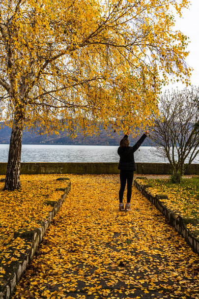 Autumn leaves fallen on alone woman walking on the autumn alley - Foto, Imagen