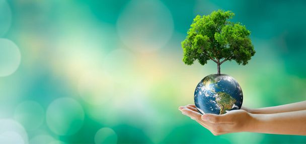 Hand holding tree on the world with sunny green grass bokeh background. Save clean planet, Save world and environment, Ecology, World Earth Day Concept. Elements furnished by NASA. - Photo, image