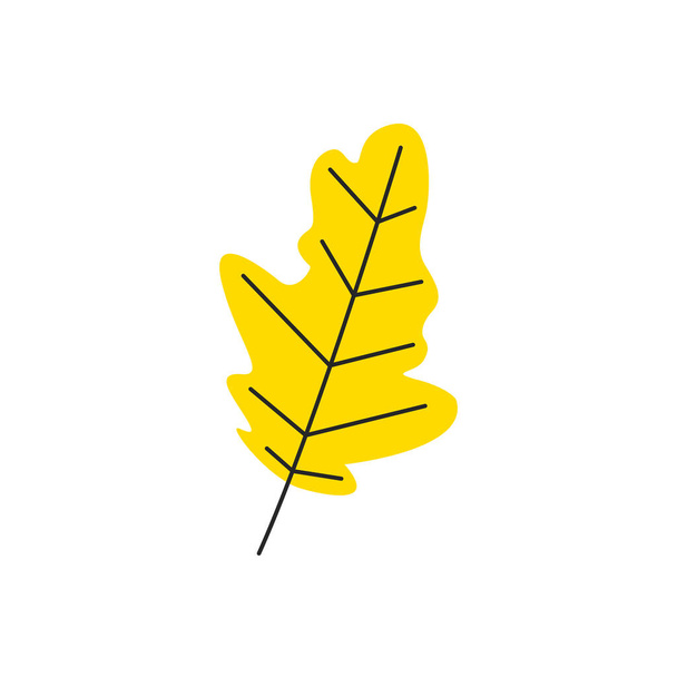 Yellow fresh autumn leaf with veins. Fall oak foliage season. Decorative botanical deciduous item. Simple single oak leaf silhouette. Hand drawn flat vector illustration isolated on white background - Vektör, Görsel