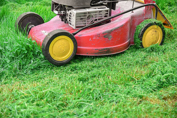 Home lawn mower on green lawn grass. - Фото, изображение