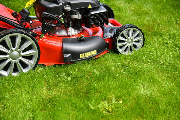 Cleaning and mowing lawn green grass in the yard with a home lawn mower. - Foto, imagen