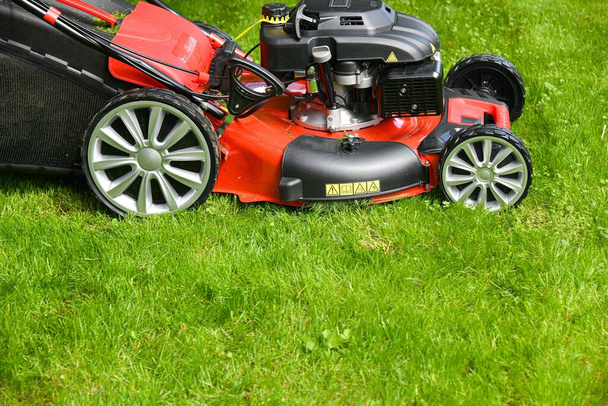 Home lawn mower on green lawn grass. - 写真・画像