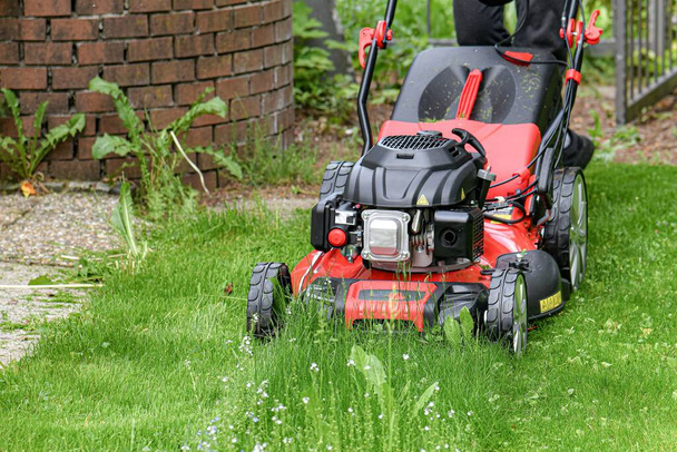 A man mows lawn grass with a lawn mower at home. - Fotografie, Obrázek