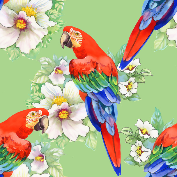 Parrots on floral pattern - Photo, Image