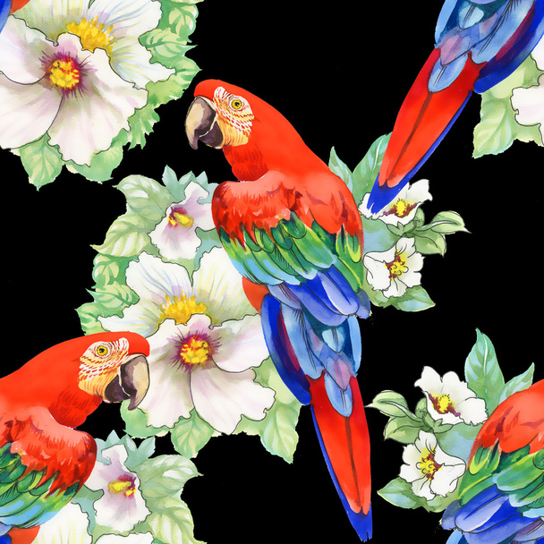 Parrots on floral pattern - Fotoğraf, Görsel
