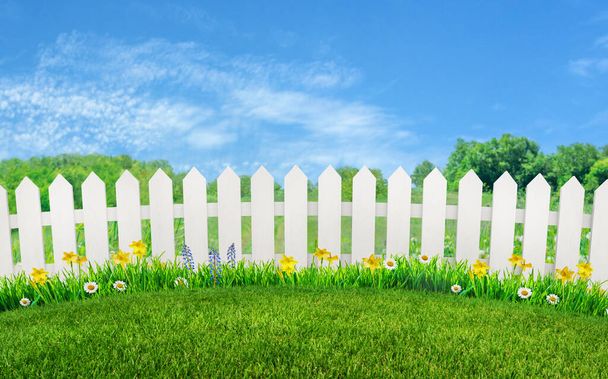 зелена трава і квіти на подвір'ї і в саду, сільський пейзаж
 - Фото, зображення