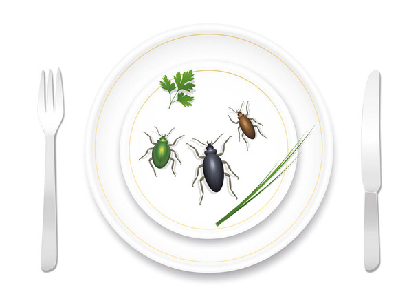 Eating bugs, insects, beetles. Noble fine porcelain crockery nicely prepared with three tasty bugs and healthy herbs. Delicious or disgusting meal. Vector illustration on white background.  - Wektor, obraz