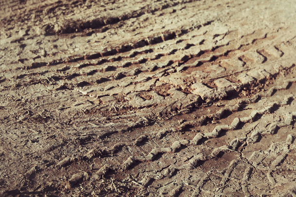 Wheel tracks on the soil. - Photo, Image