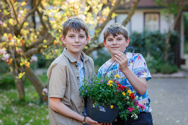 Two school kids boys with spring flowers in pot for mum as gift for mothers day. Happy children, two son with surprise for mama - Photo, Image