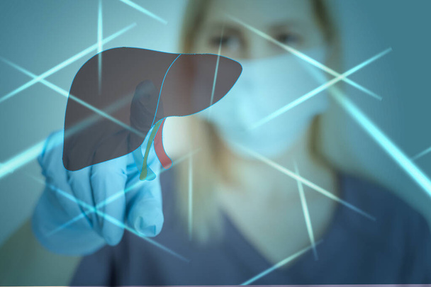 Female doctor touches virtual Liver in hand. Blurred photo, handrawn human organ, highlighted red as symbol of disease. Healthcare hospital service concept stock photo - Foto, immagini