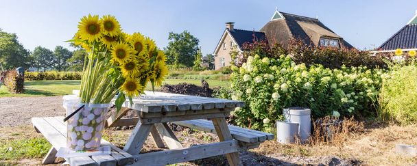 farm shop with sunflowers in Niebert municipality Westerkwartier in Groningen province the Netherlands - Photo, Image