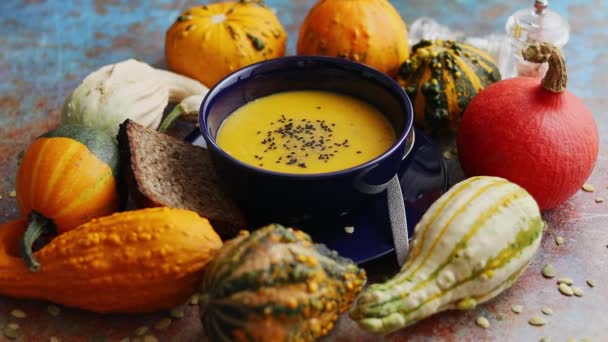 Vegetarian autumn pumpkin cream soup with seeds and colorful various mini pumpkins around. Flat lay. Side view. - Footage, Video