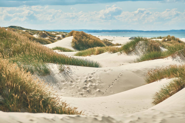 Dunes at the beach of the Jammerbugt in northern Denmark. High quality photo - Фото, зображення