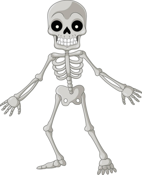 Vector illustration of Cartoon funny skeleton on white background - Vector, Image