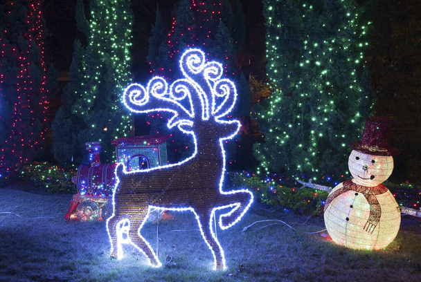 LED Kerstdecoratie in de tuin - Foto, afbeelding