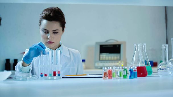 pretty scientist in white coat looking at test tubes near flasks with liquid in laboratory - Photo, image