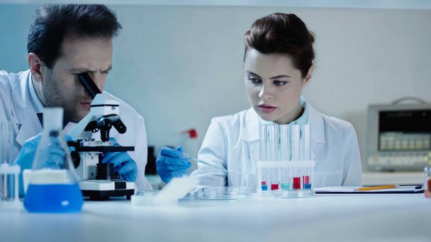 scientist in white coat looking through microscope near coworker in laboratory   - Photo, Image