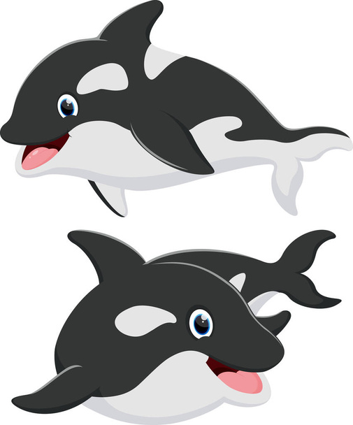 Vector Illustration of Set of Cute killer whale cartoon - Vector, Image