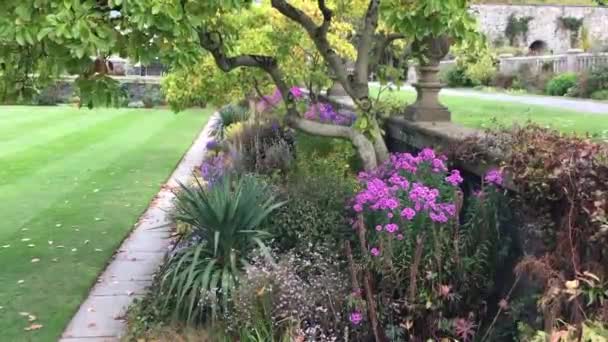 Flowerbed on the terraces at Bodnant with Autumn flowers blooming. Conwy, North Wales, UK - Materiał filmowy, wideo