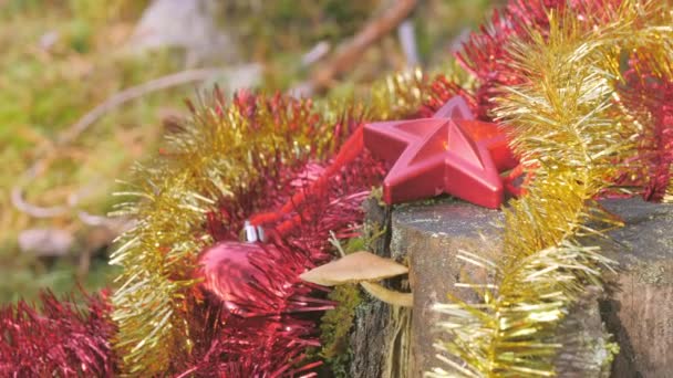 Mirada más cercana de la estrella roja en el tronco del árbol en el bosque con el hongo en el lado y otras decoraciones temáticas de Navidad en la parte posterior - Imágenes, Vídeo