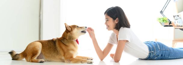Banner cover design. Jocund young Asian woman lying on floor playing with Shiba Inu, Japanese dog. Cheerful and nice couple with people and pet. Pet Lover concept - Fotografie, Obrázek