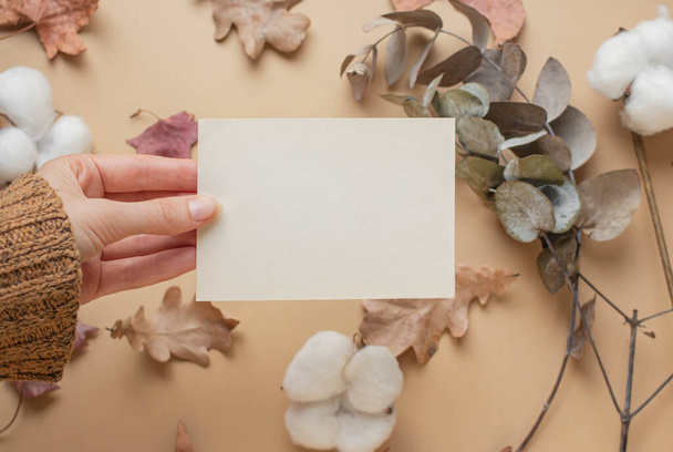 card mockup with cotton flowers, eucaliptus, dry leaves, reeds. autumn mood, fall vibes - Fotoğraf, Görsel