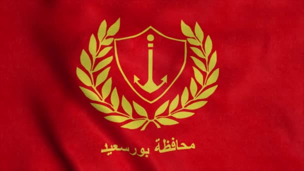 Port Said vlag, stad Egypte, realistische achtergrond. - Video