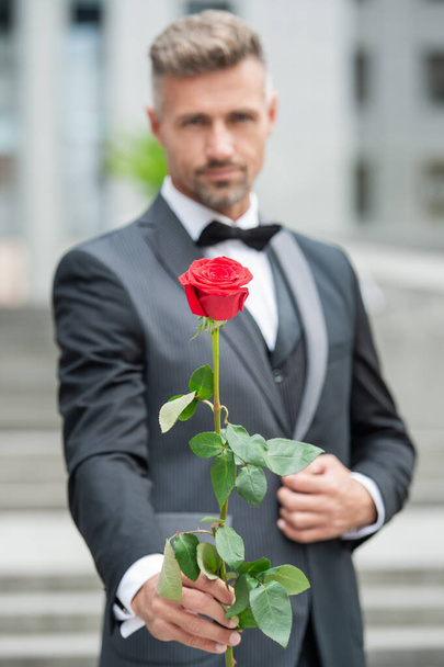 engagement concept. adult tuxedo man celebrating engagement. man with rose gift for engagement. - Foto, Imagem