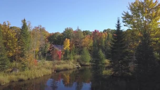 Drone crane shot moving up above the lake and the colorfull leaves of autumn - Séquence, vidéo