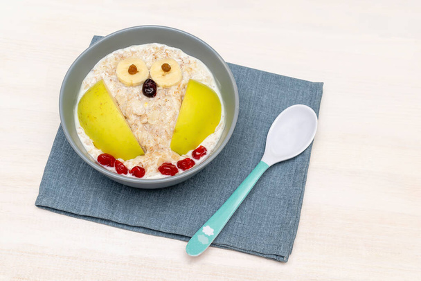 Funny cute kids childrens babys breakfast lunch oatmeal porridge in bowl look like owl decoration with apple, banana, dried berry fruits, food art on white wooden table. - Photo, Image