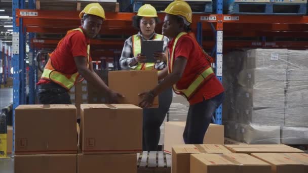 Young man and woman carrying box stack and distribution in the warehouse at factory, worker working holding package in storehouse, logistic and transportation, industrial and cargo concept. - Materiał filmowy, wideo