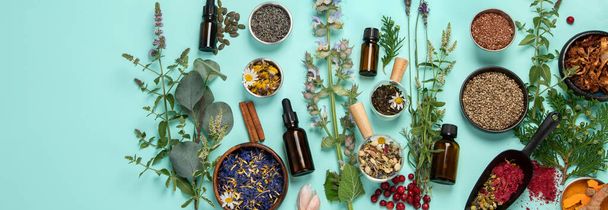Alternative herbal medicine on green background. Homeopatic flower and herbs remedies. Top view, copy space, panorama - Photo, Image