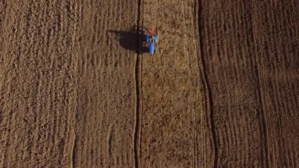 A man on tractor digging the ground. Tractor driver plowing the field. A worker on blue tractor digs up the brown earth. Aerial drone view. Top view. Farming countryside rural. Agrarian. Agricultural - Video