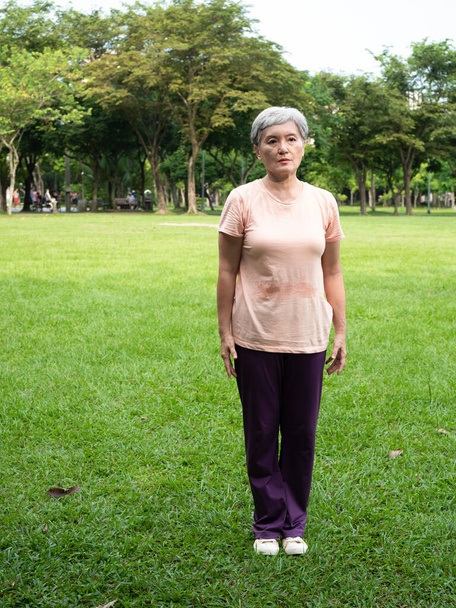 Portrait of happy senior adult elderly asia woman smiling standing and stretch her arms relax and enjoy with nature fresh air in the park. - Photo, Image