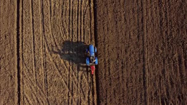 A man on tractor digging the ground. Tractor driver plowing the field. A worker on blue tractor digs up the brown earth. Aerial drone view. Top view. Farming countryside rural. Agrarian. Agricultural - 映像、動画