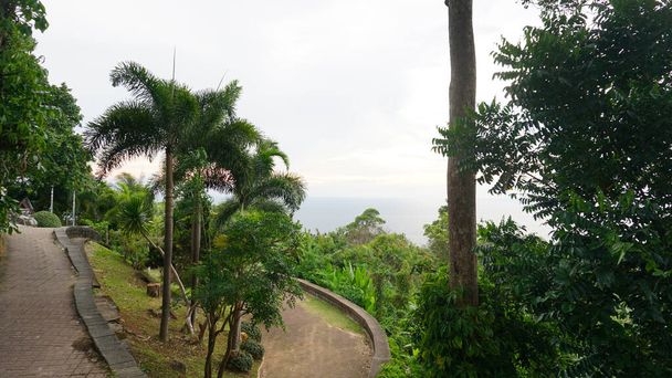 Прекрасний вид на острів і море. Великі пальми ростуть на зелених пагорбах острова. На відстані видно море і хмари. Шлях схожий на сходження на пагорб у парку
 - Фото, зображення