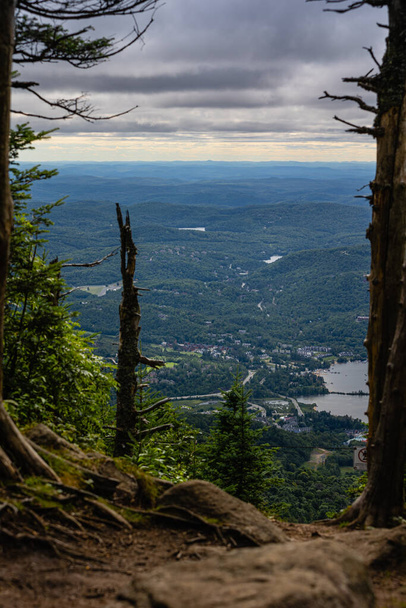 Lush boreal forest panorama view from the top of Mont Tremblan trembling mountain, Laurentian mountains - 写真・画像