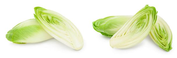 Chicory salad isolated on white background with full depth of field - Fotografie, Obrázek