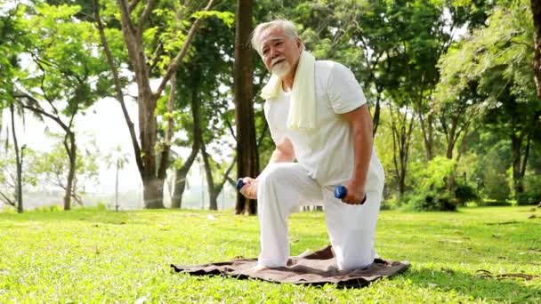 Anciano jubilado asiático hombre ejercicios en la mañana en un jardín sombreado levantando pesas para construir fuertes músculos del brazo para una vida larga y saludable: concepto de cuidado de la salud - Metraje, vídeo